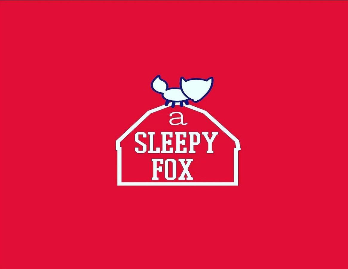 A Sleepy Fox * New Delhi